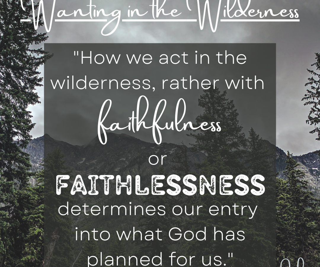 Wanting in the Wilderness
